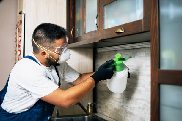 Best Affordable Pest Control Services  in Chino, CA