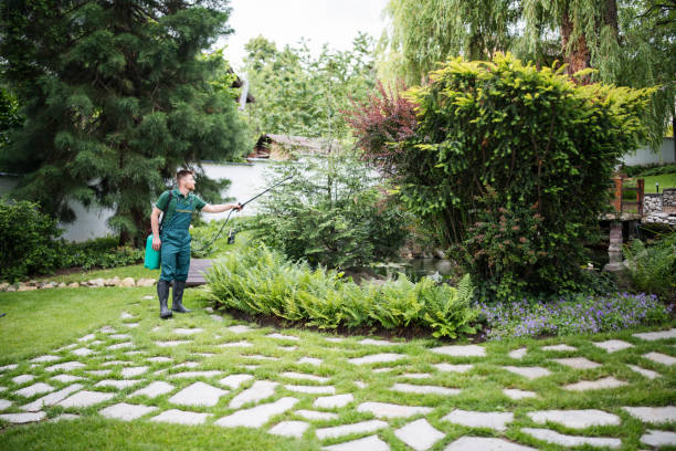 Best Insect Control  in Chino, CA