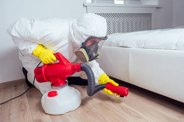 Best Pest Inspection Near Me  in Chino, CA