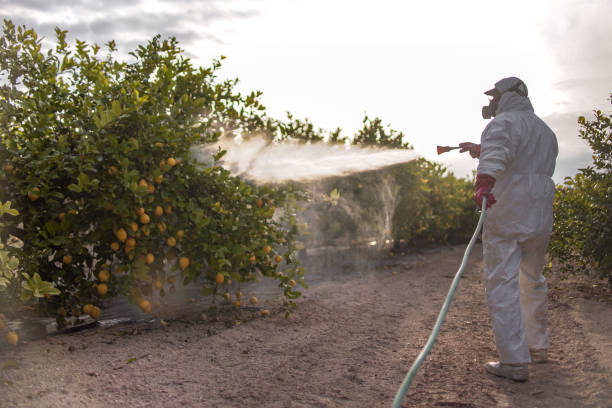  Chino, CA Pest Control Pros