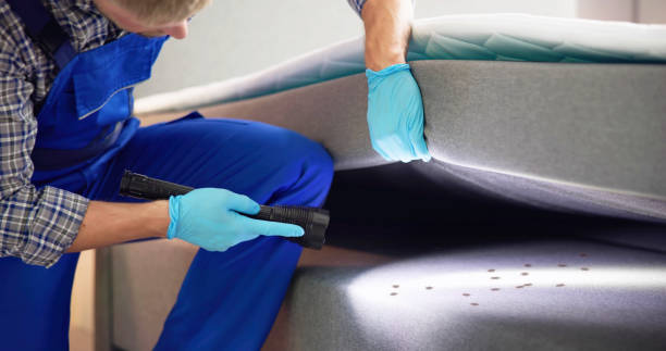 Best Mosquito Control Services  in Chino, CA