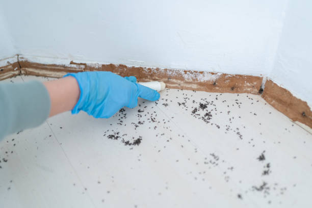 Best Wildlife Control Services  in Chino, CA