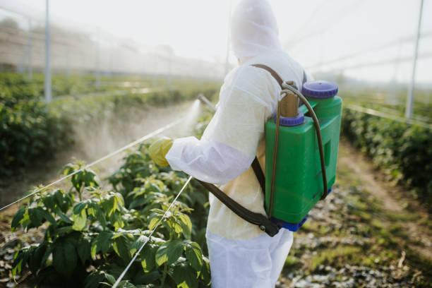 Wildlife Control Services in Chino, CA